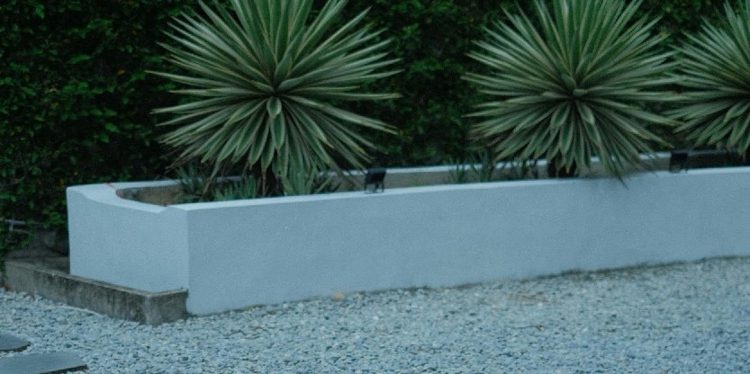Licht grind in de tuin gecombineerd met groene planten